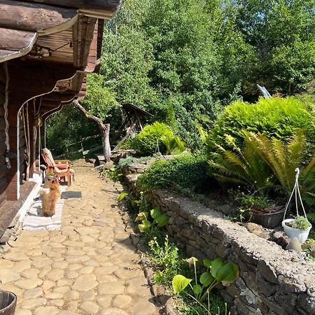 Zelenyj Raj Villa Hidegrét Kültér fotó