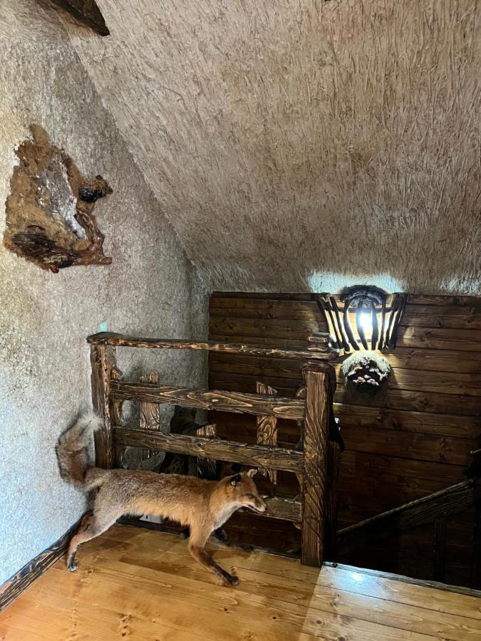Zelenyj Raj Villa Hidegrét Kültér fotó